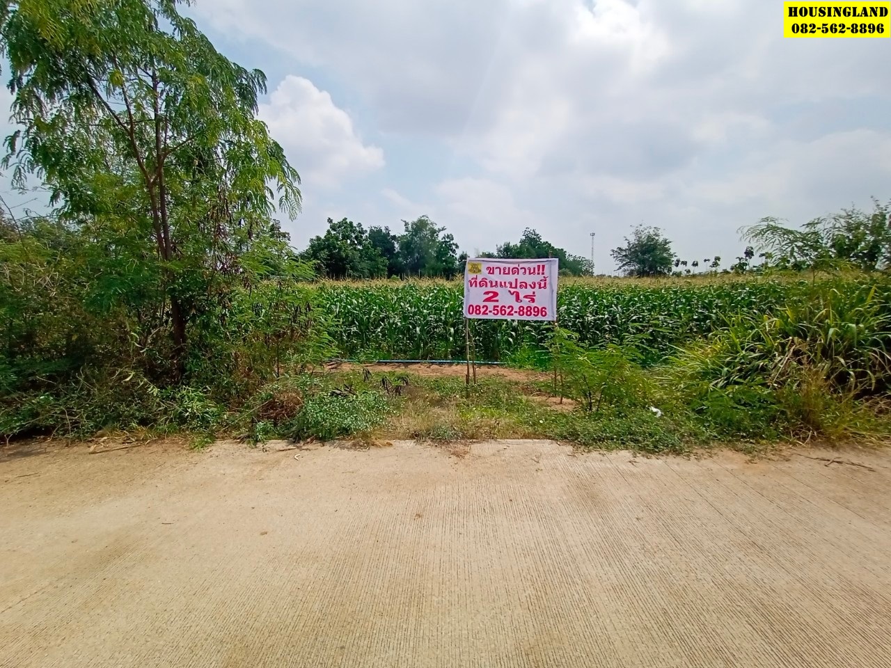 ขายที่ดินอู่ทอง สุพรรณบุรี  ราคาถูก ตำบลพลับพลาไชย อำเภออู่ทอง จังหวัดสุพรรณบุรี